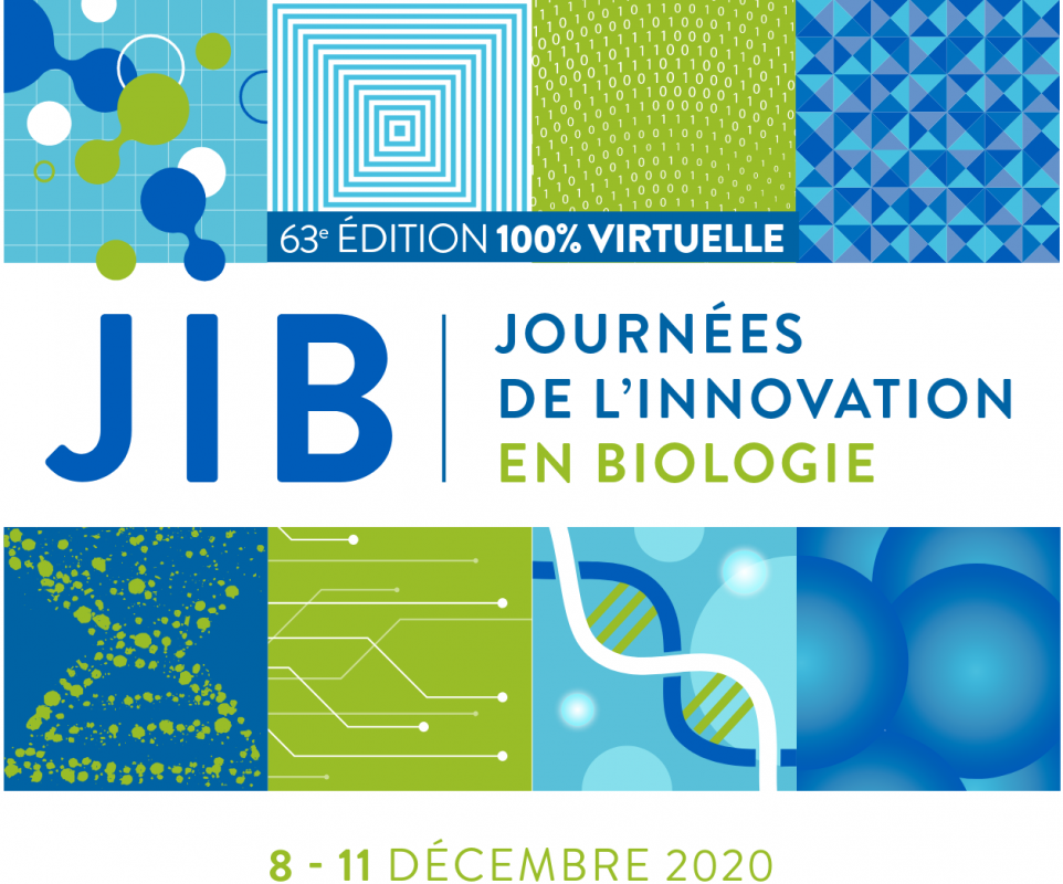 Logo Jib 2020 Edition Virtuelle